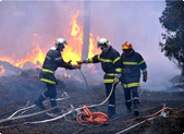 INCENDIE ET FEU DE FORÊT, UN PHÉNOMÈNE DÉVASTATEUR...